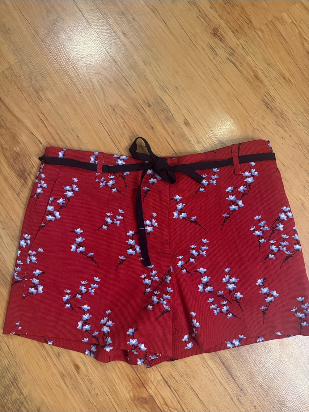 Loft Shorts Cherry Blossom Sz 6 NWT